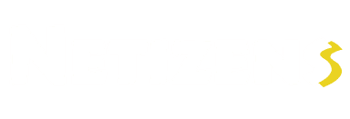 Netizen Solutions Logo